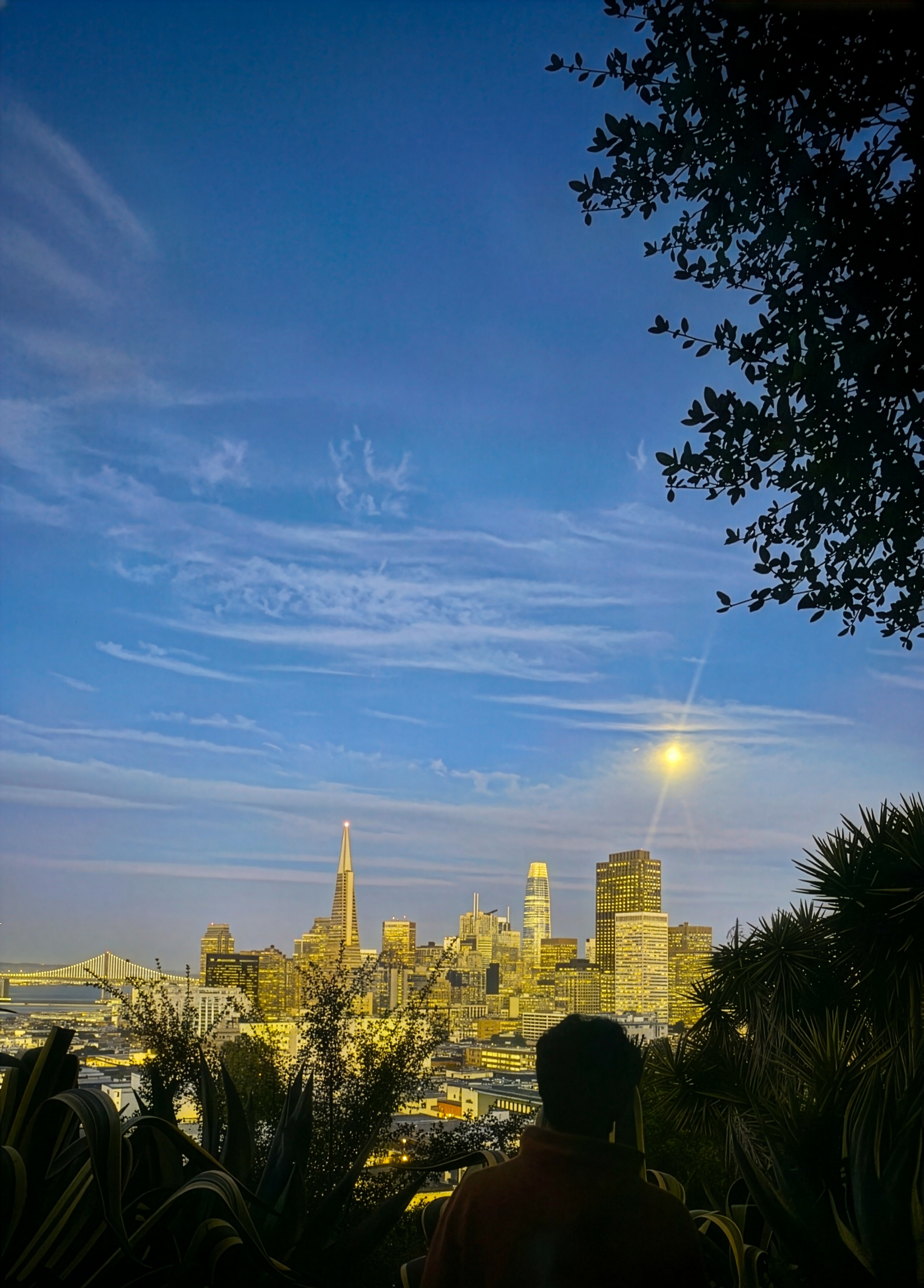 San Francisco skyline at dusk